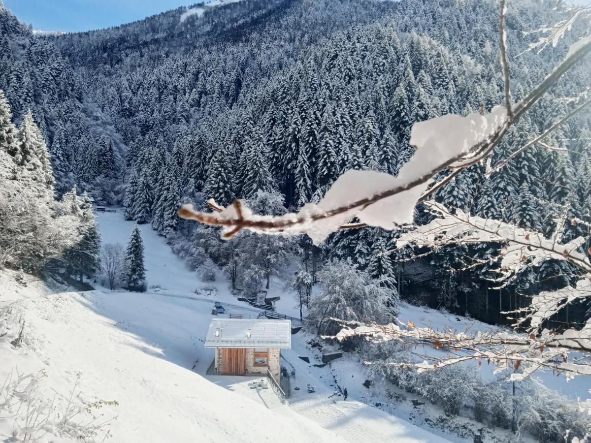 Chalet Noèr Lenzumo di Concei Esterno foto